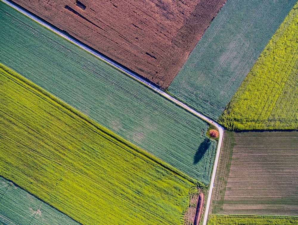 Lotes de distintos colores vistos desde el aire